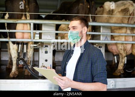 man in mask with clipboard and cows on dairy farm Stock Photo