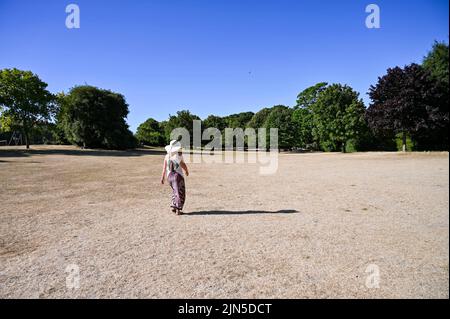 Hove , Brighton UK 9th August 2022 - A woman walks across the burnt parched grass in Queens Park Brighton on another dry hot sunny day as some Water Companies are imposing hosepipe bans in parts of Britain this week : Credit Simon Dack / Alamy Live News Stock Photo