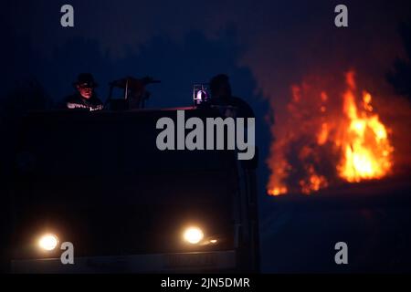 Croatian fire workers controls fire during forest fire  on the Peljesec peninsula in southern part of Croatia. Stock Photo