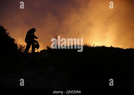 Croatian fire workers controls fire during forest fire  on the Peljesec peninsula in southern part of Croatia. Stock Photo
