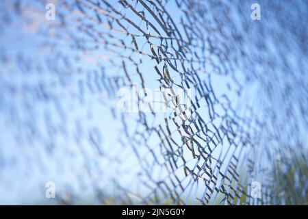 A large pane of safety glass in a patio door that has spontaneously cracked. Stock Photo