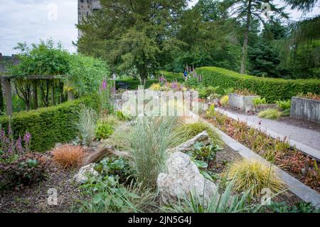 BLARNEY, IRELAND. JUNE 13, 2022. Garden of Poisonous plants at the Blarney Castle Stock Photo