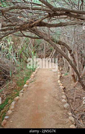 Jordan, Bethany, Site of Bethany on the banks of the Jordan, Place where John the Baptist baptized Jesus Stock Photo