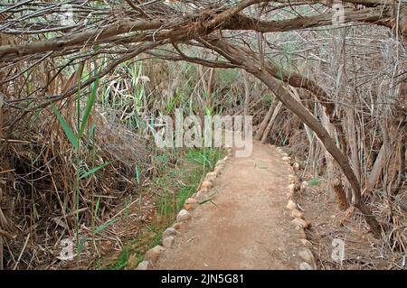 Jordan, Bethany, Site of Bethany on the banks of the Jordan, Place where John the Baptist baptized Jesus Stock Photo