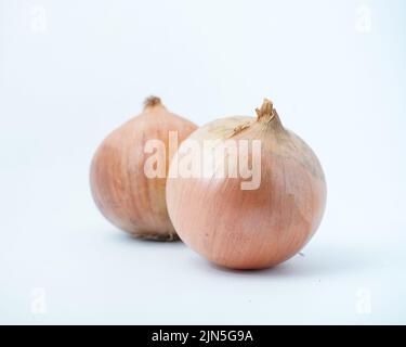 Two Onions isolated on white background Stock Photo