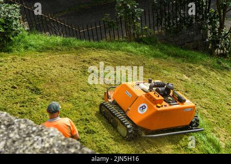 Grass slope mowed by remote-controlled orange robotic mower (KommTek RoboFlail) & worker in hi-vis - York walls, Yorkshire, England, UK. Stock Photo