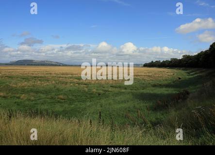 Salt marsh looking toward Milnthorpe Sands from near Carr Bank Arnside Cumbria England Stock Photo