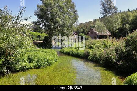 Peaceful waters in the Chess Valley on the River Chess near Sarratt Bottom in Hertfordshire Stock Photo