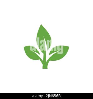 Green leaf ecology nature element vector icon, Leaf Icon, green leaf ecology nature element vector Stock Vector