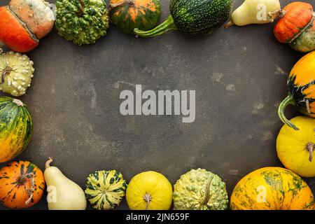Decorative and edible pumpkins on a green background, top view, autumn background, copy space Stock Photo