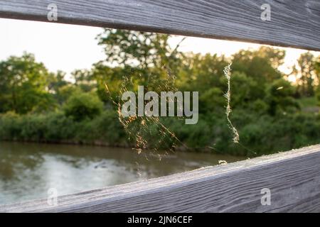 Spider web on wooden bridge between the rails. High quality photo Stock Photo