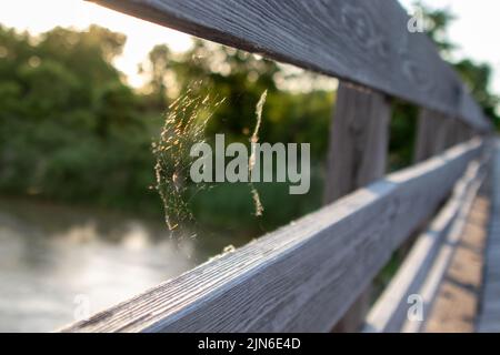 Spider web on wooden bridge between the rails. High quality photo Stock Photo