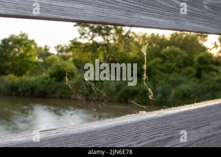 Spider web on wooden bridge between the rails. High quality photo Stock Photo