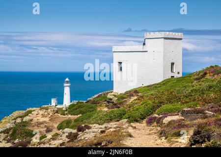 Flowering heather at South Stack Lighthouse and Elin’s Tower on the Wales Coast Path, Holy Island, Anglesey, North Wales Stock Photo