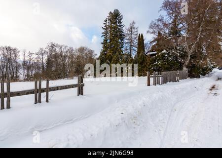 Meadow covered by snow in winter. Old wooden fence. Trees near. Stock Photo