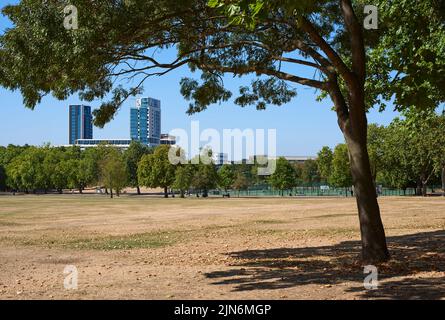 Finsbury Park, North London UK, during the dry spell and hot weather in early August 2022 Stock Photo