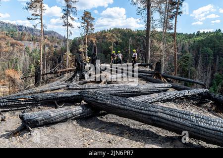 Hrensko, Czech Republic. 09th Aug, 2022. The burnt forests in the Ceske Svycarsko (Czech Switzerland) National Park, Czech Republic, August 9, 2022. Volunteer firefighters from Kresice in the Decin region walks through the Long Mine above the Edmund (Silent) Gorge, where he is guarding part of the first area handed over by the firefighters to the park administration after the firefighting is finished. Credit: Ondrej Hajek/CTK Photo/Alamy Live News Stock Photo