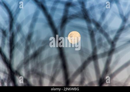 Brazilian full moon. Stock Photo