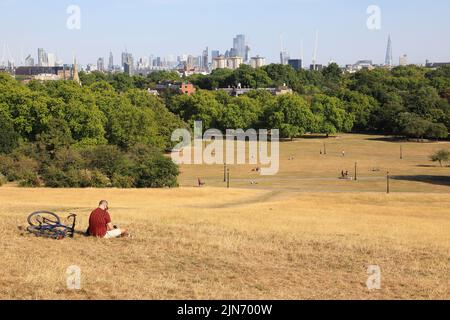 London, August 9th 2022. After one of the driest Julys in decades Primrose Hill in north London looks more like a field of hay. The Met Office have issued an amber weather warning as temperatures edge towards 40 degrees again. Credit : Monica Wells/Alamy Live News Stock Photo