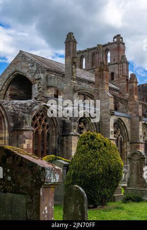 Melrose, United Kingdom - 19 June, 2022: vertical view of the St. Mary's Abbey in Melrose with cemetery heaadstones in the foreground Stock Photo