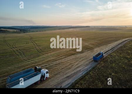 Aerial view of cargo truck driving on dirt road between agricultural wheat fields making lot of dust. Transportation of grain after being harvested by Stock Photo