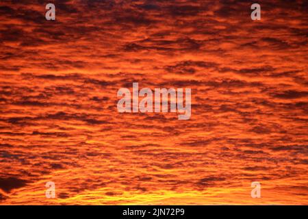 Bright colorful sunset sky with vivid smooth clouds illuminated with setting sun light spreading to horizon Stock Photo