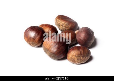 Ripe chestnuts close up. Raw Chestnuts for Christmas. Fresh sweet chestnut. Castanea sativa top wiew. Food background. Stock Photo