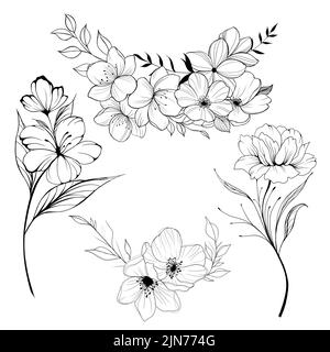 Big set Flowers Periwinkle. Hand drawing. Outline. On a white background. Beautiful sketch of a tattoo - a delicate twig with flowers. botany design e Stock Photo