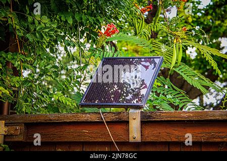 Small solar panel - used to power gate opener -  mounted on rustic wooden privacy fence surrounded by trumpet vine Stock Photo
