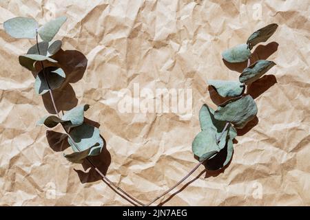 Wreath frame made of branches eucalyptus and leaves on paper craft background. lay flat, top view. Eco style, reusable materials. Stock Photo