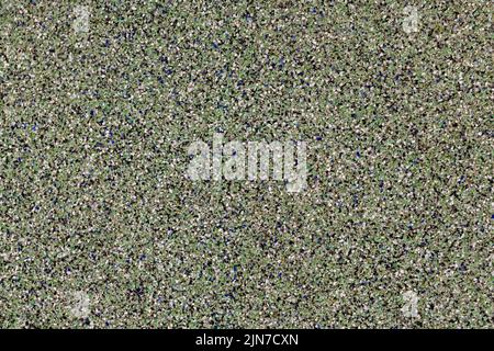 Texture of small crumbs of marble. Abstract marble background for design. Stock Photo
