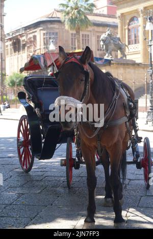 A horse drawn carriage waiting for tourists Stock Photo