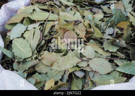 Dried bay laurel leaves on display at street market in Morocco Stock Photo