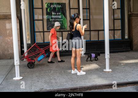 Elderly woman and distracted smartphone user during a heat wave in the Flatiron neighborhood in New York on Saturday, August 6, 2022. (© Richard B. Levine) Stock Photo