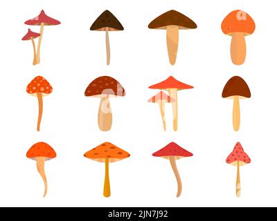 Set of mushrooms isolated on white background. Various mushrooms, edible and toadstools. Poisonous mushrooms and hallucinogenic fly agaric. Icon for b Stock Vector