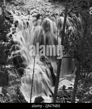 This black and white image of Kepler Cascades presents a multi-tiered waterfall that drops about 150 feet in Yellowstone National Park, Wyoming, USA. Stock Photo