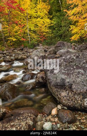 Autumn on Bouquet River, Adirondack Park, High Peaks Region, New York ...