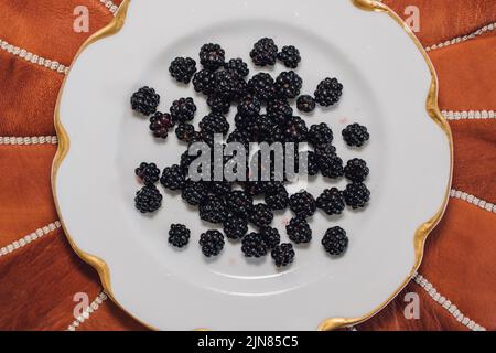 wild picked Blackberries on white plate Stock Photo
