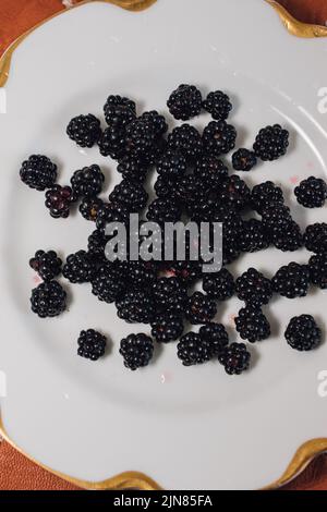 wild picked Blackberries on white plate Stock Photo