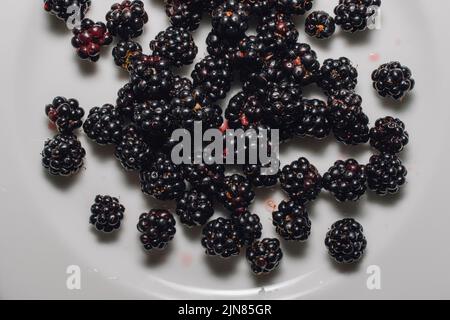 wild picked Blackberries on white plate Stock Photo