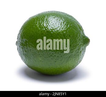 Small Ripe Green Lime Cut  Out on White. Stock Photo