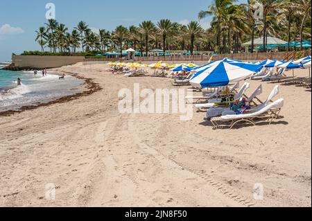 Private beach at The Breakers Resort in Palm Beach, Florida. (USA) Stock Photo