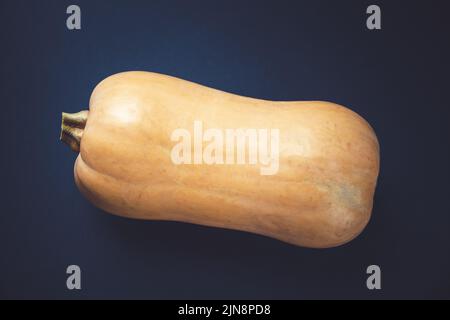 Fresh organic butternut squash isolated on black background Stock Photo