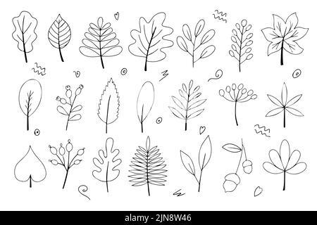 Set of autumn leaves in black and white outline. Coloring. Doodle style. Hello, Autumn. Design or sticker. Isolated vector illustration Stock Vector