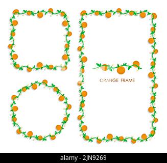 Set of golden round and square frames with fruit and blossoming orange branches. Weave border isolated on white background. Vector Stock Vector
