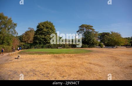 Wimbledon Common, London, UK. 10 August 2022. Grassland in Wimbledon Common is straw coloured under the hot sun. Most walkers are taking routes through the shade of trees leaving the Common very quiet. Greens remain watered at the London and Scottish Golf Club on the Common close to the windmill though Thames Water are currently planning a hosepipe ban at some point. Credit: Malcolm Park/Alamy Live News Stock Photo