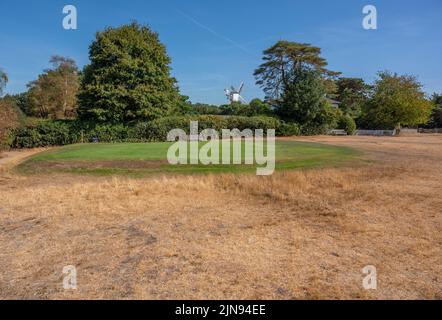 Wimbledon Common, London, UK. 10 August 2022. Grassland in Wimbledon Common is straw coloured under the hot sun. Most walkers are taking routes through the shade of trees leaving the Common very quiet. Greens remain watered at the London and Scottish Golf Club on the Common close to the windmill though Thames Water are currently planning a hosepipe ban at some point. Credit: Malcolm Park/Alamy Live News Stock Photo