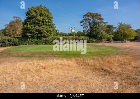 Wimbledon Common, London, UK. 10 August 2022. Grassland in Wimbledon Common is straw coloured under the hot sun. Most walkers are taking routes through the shade of trees leaving the Common very quiet. Greens remain watered at the London and Scottish Golf Club on the Common close to the windmill though Thames Water are currently planning a hosepipe ban at some point. Credit: Malcolm Park/Alamy Live News Stock Photo