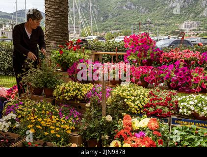 Montenegro - May 7, 2022 - Woman sells flowers at a stall in the market. Stock Photo