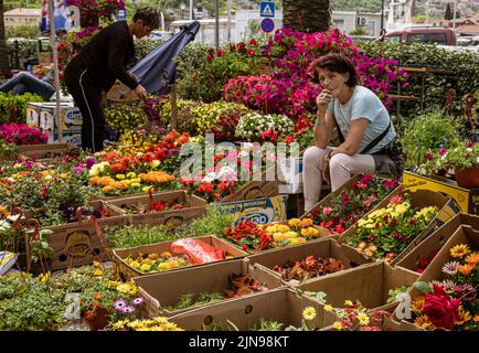 Montenegro - May 7, 2022 - Woman sells flowers at a stall in the market. Stock Photo